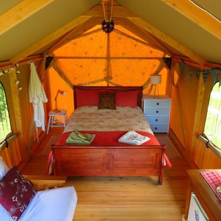 Omarama Oasis - Permaculture Glamping Hotel Pohara ภายนอก รูปภาพ